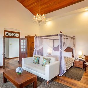 Suite Lake View